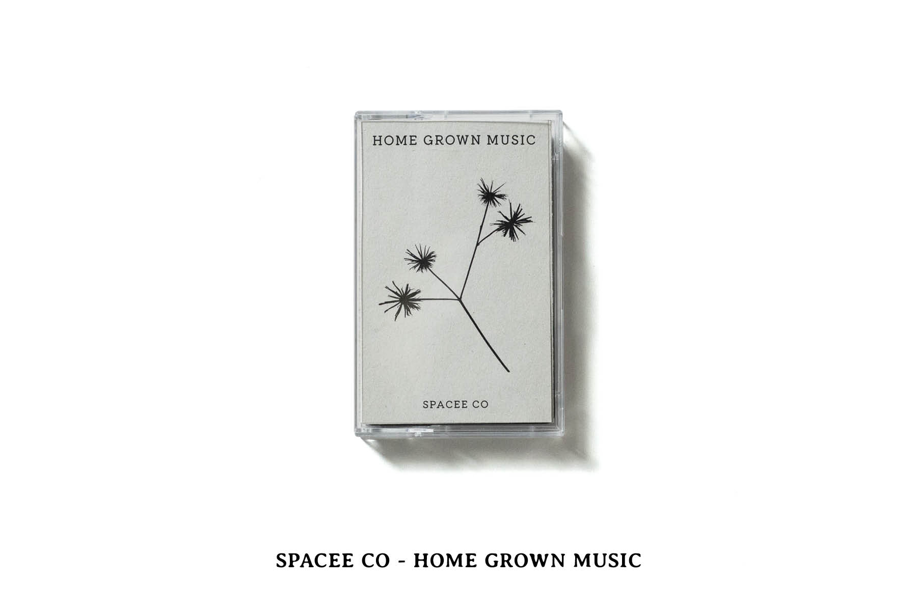 SPACEE CO - Home Grown Music